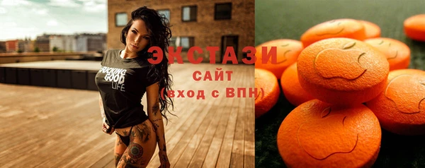 дмт Богородицк