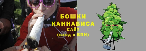 таблы Бородино