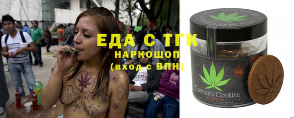 дмт Богородицк