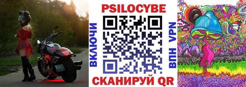 Галлюциногенные грибы MAGIC MUSHROOMS  сайты даркнета клад  Заозёрск  ссылка на мегу онион 