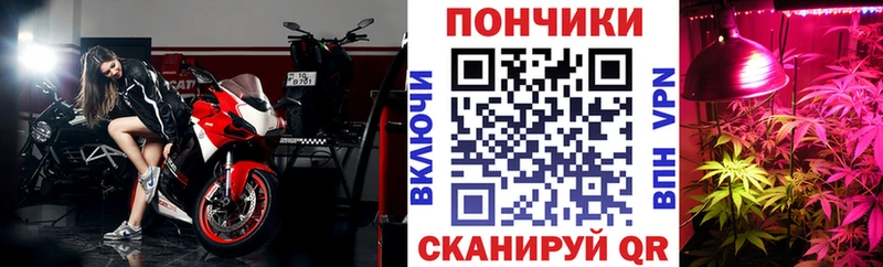 что такое наркотик  Заозёрск  Бошки марихуана сатива 